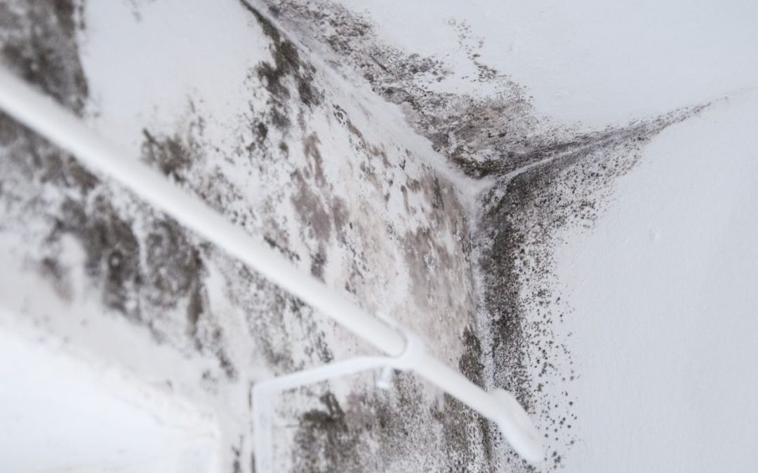7 Signs You Need Expert Water Damage Restoration in Derry, NH, and New England