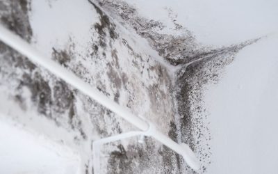 7 Signs You Need Expert Water Damage Restoration in Derry, NH, and New England