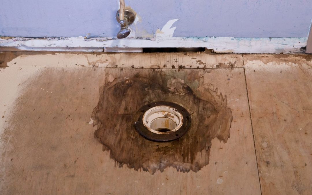 When Should You Call for Water Damage Restoration Services