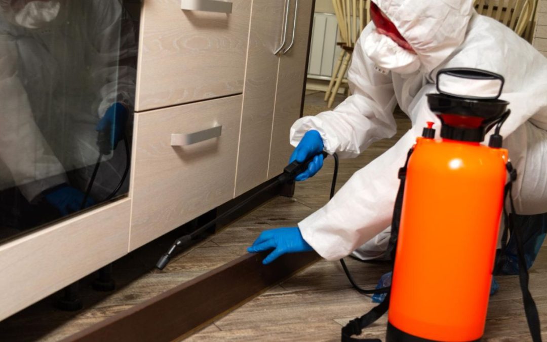 Why Biohazard Cleanup Services Should Always Be Handled by Professionals