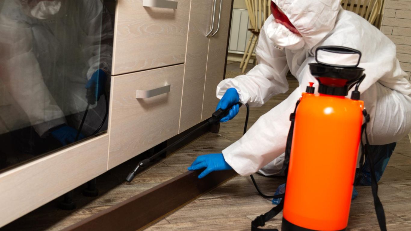 Why Biohazard Cleanup Services Should Always Be Handled by Professionals biohazard cleanup services in the kitchen