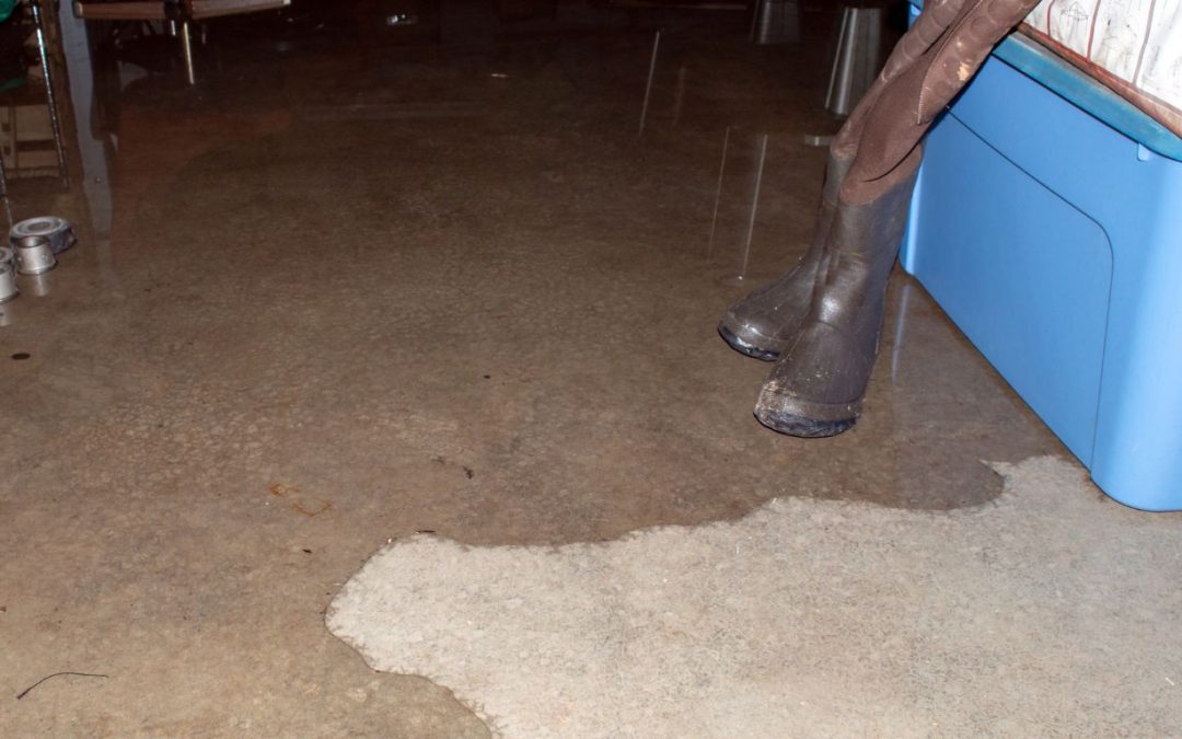 When Is the Right Time for Sewage Cleanup in Derry After a Backup