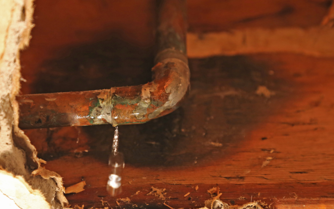 Water Treatment Services Can Stop Hard Water from Wrecking Your Appliances