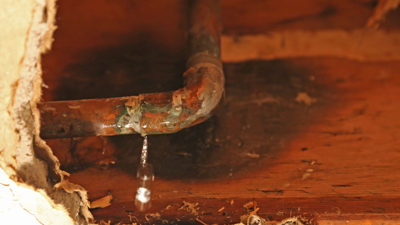Hard Water Is Quietly Wrecking Your Appliances and Water Treatment Services in Derry Can Put a Stop to It (1) water treatment services
