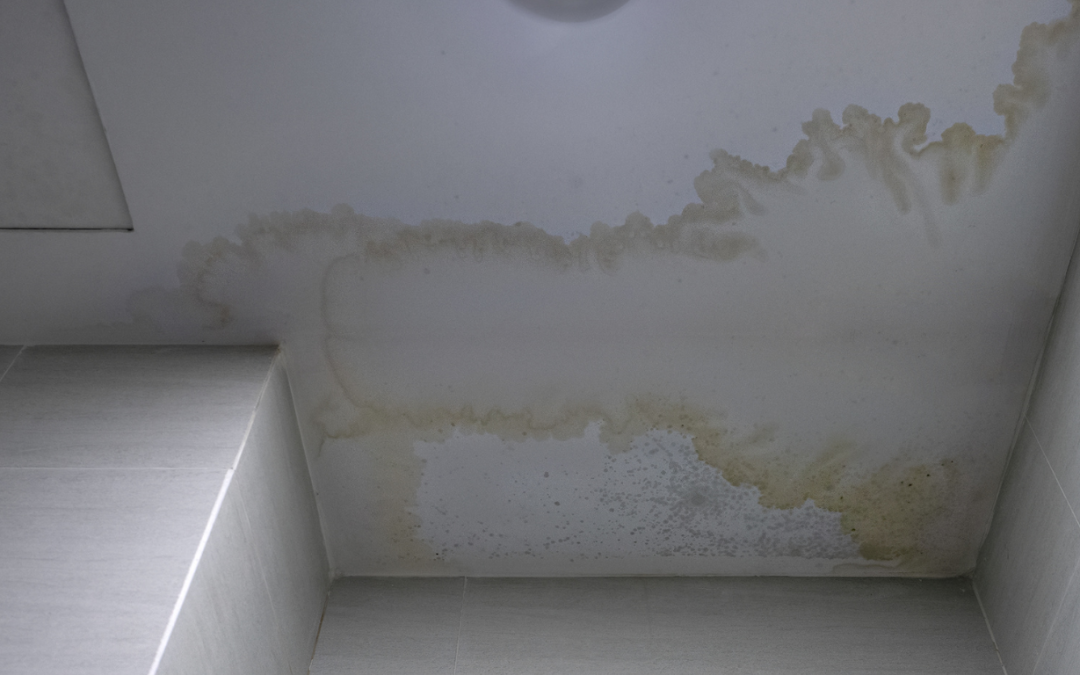 When to Call a Pro for Smoke Odor Removal in Derry