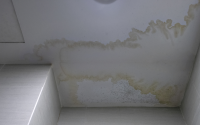 When to Call a Pro for Smoke Odor Removal in Derry