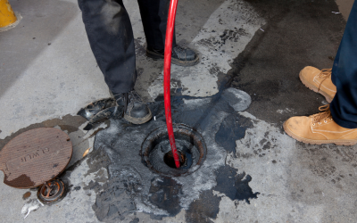 Understanding Raw Sewage Cleanup Health Risks and When to Hire a Pro