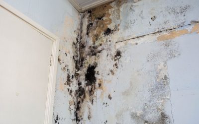 Prevent Mold with Water Damage Restoration in Barrington, NH