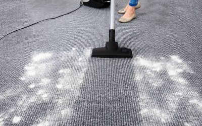 Top Signs You Need Carpet Cleaning in Brentwood, NH
